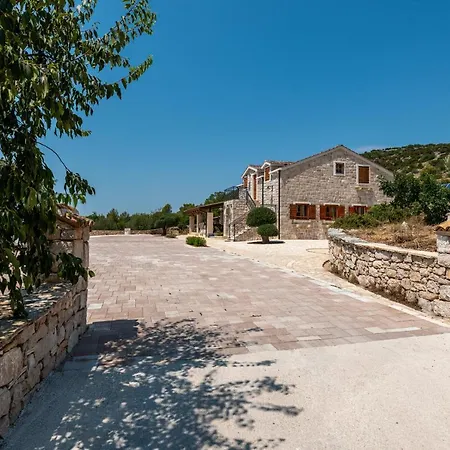 Lavanda Vodice