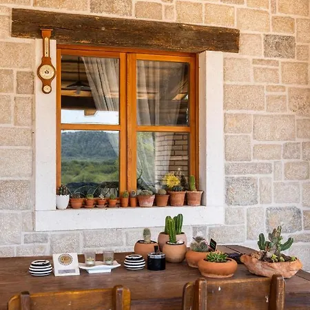 Lavanda Vila